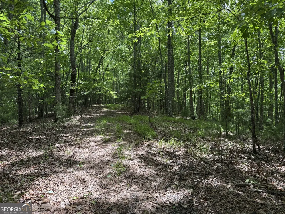 0 Royal Oaks TRL Young Harris, GA 30582