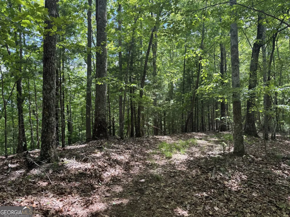 0 Royal Oaks TRL Young Harris, GA 30582