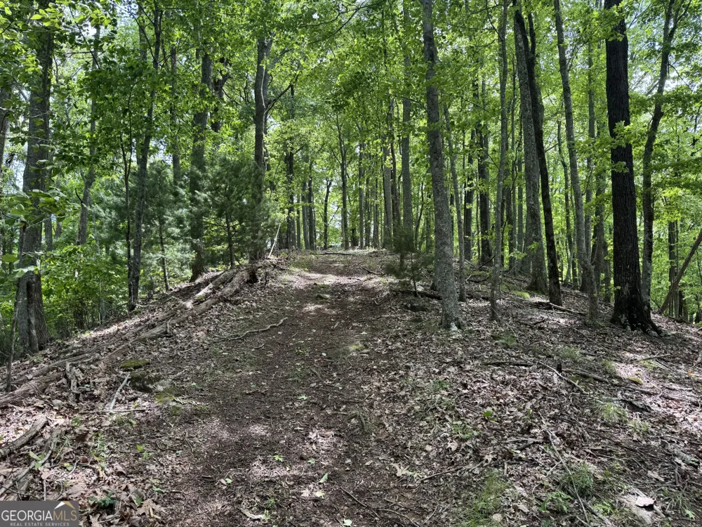 0 Royal Oaks TRL Young Harris, GA 30582