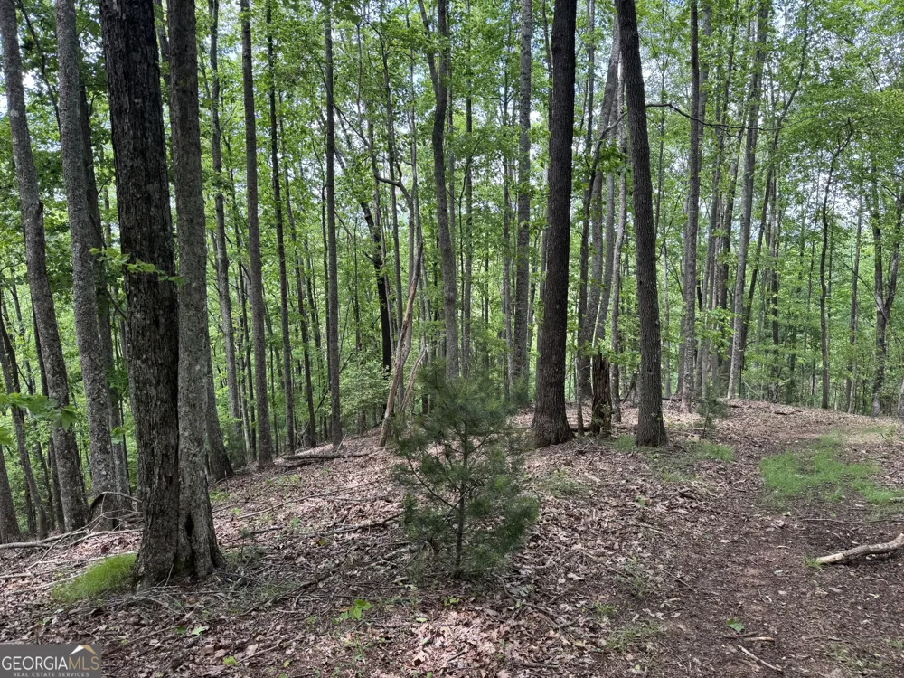 0 Royal Oaks TRL Young Harris, GA 30582