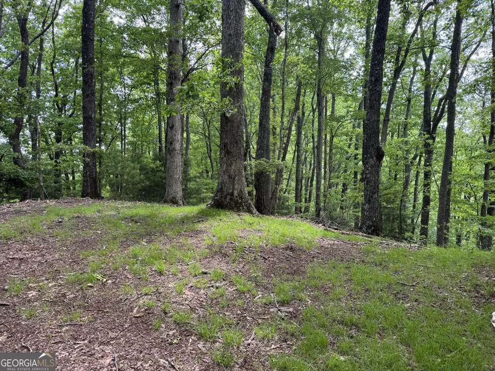 0 Royal Oaks TRL Young Harris, GA 30582