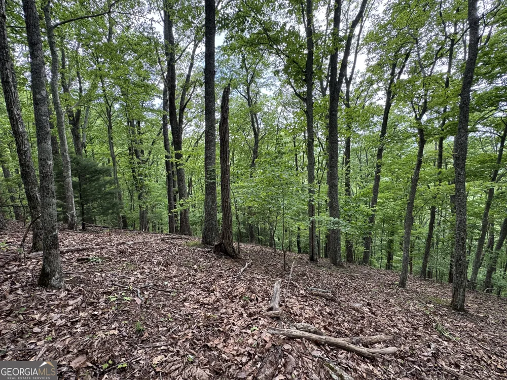 0 Royal Oaks TRL Young Harris, GA 30582