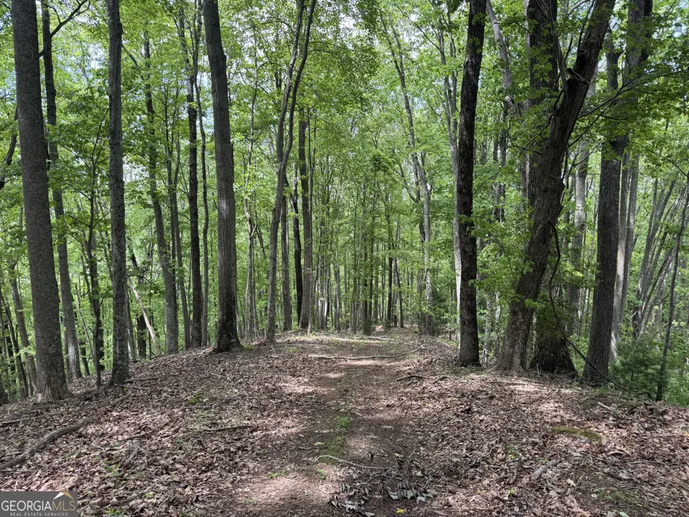 0 Royal Oaks TRL Young Harris, GA 30582