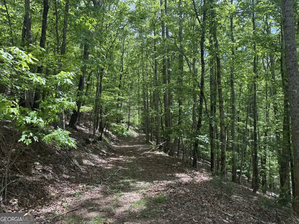 0 Royal Oaks TRL Young Harris, GA 30582
