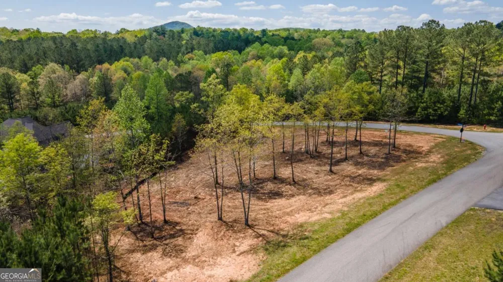 LOT 41 Sandy Lake LN Blairsville, GA 30512