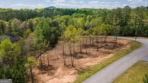 LOT 41 Sandy Lake LN