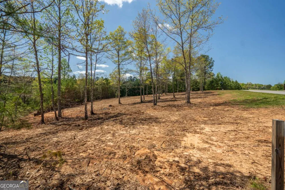 LOT 41 Sandy Lake LN Blairsville, GA 30512