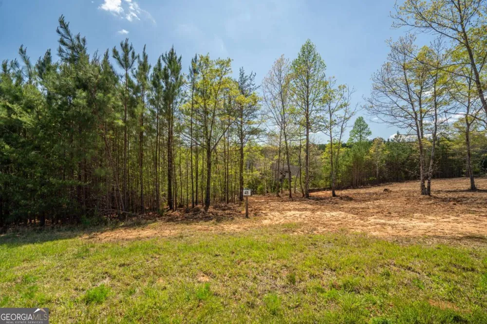 LOT 41 Sandy Lake LN Blairsville, GA 30512