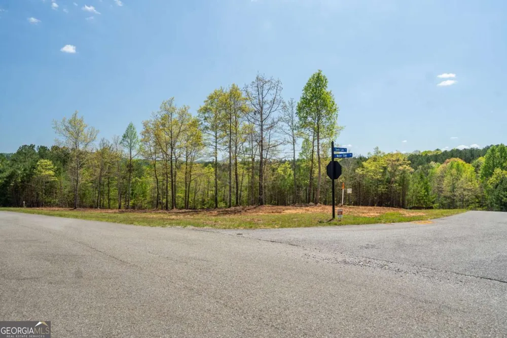 LOT 41 Sandy Lake LN Blairsville, GA 30512