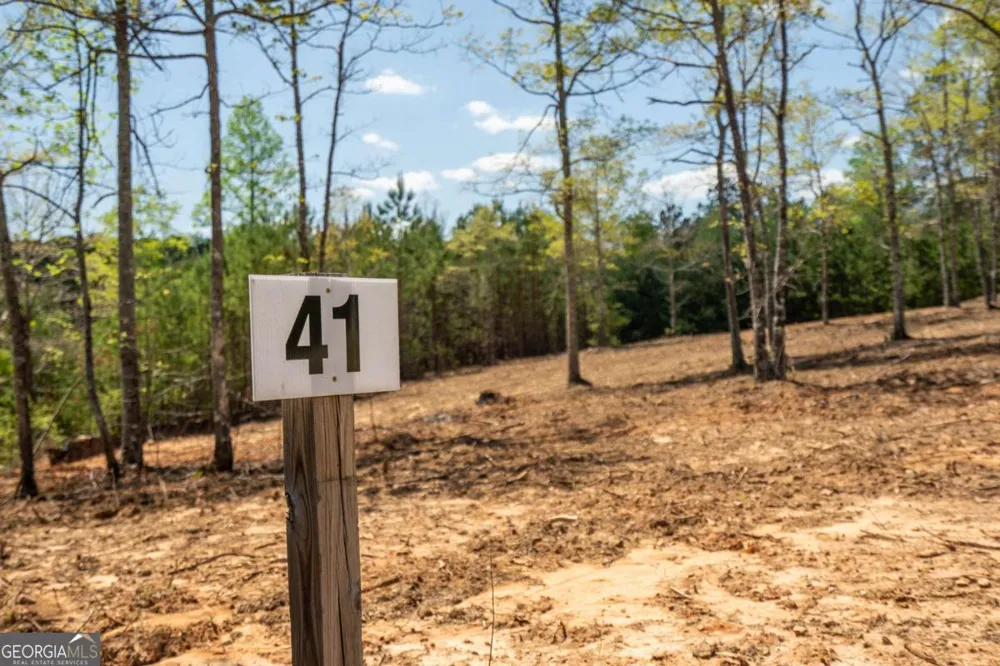 LOT 41 Sandy Lake LN Blairsville, GA 30512