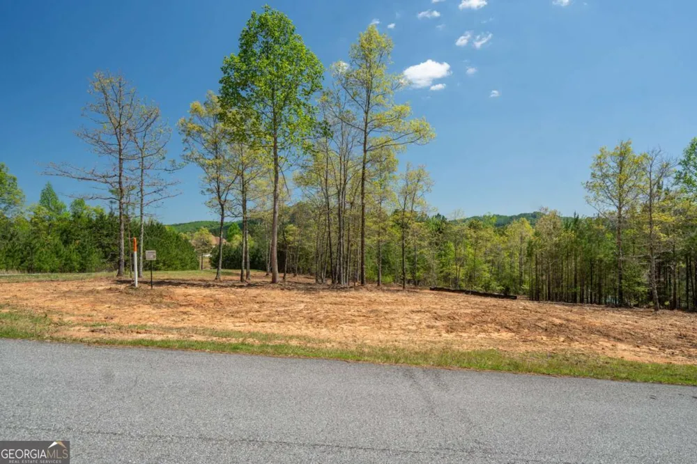 LOT 41 Sandy Lake LN Blairsville, GA 30512