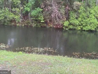 120 Magnolia CT Kingsland, GA 31548
