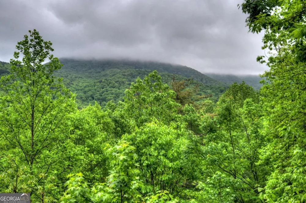1582 Little Rock Creek RD Cherry Log, GA 30522