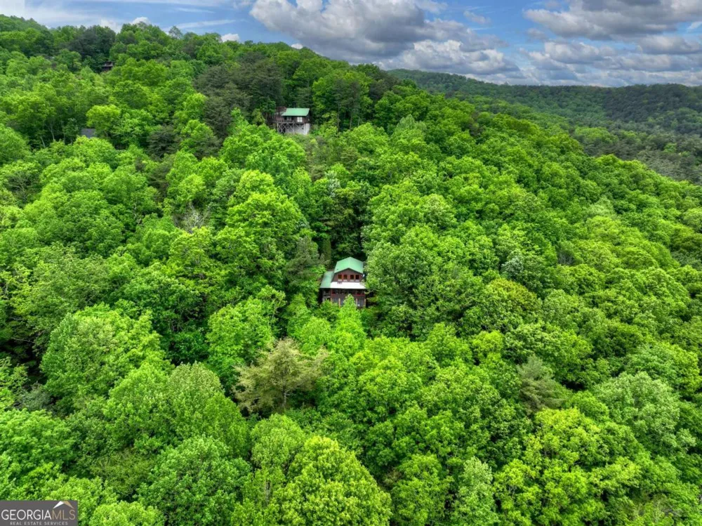 1582 Little Rock Creek RD Cherry Log, GA 30522