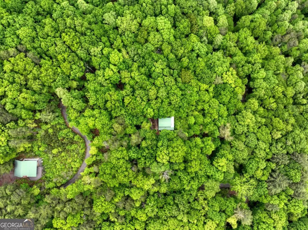 1582 Little Rock Creek RD Cherry Log, GA 30522