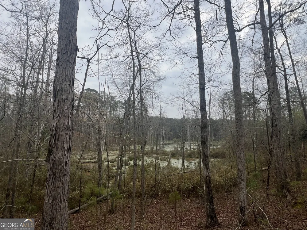 0 Bethlehem Church RD Grantville, GA 30220