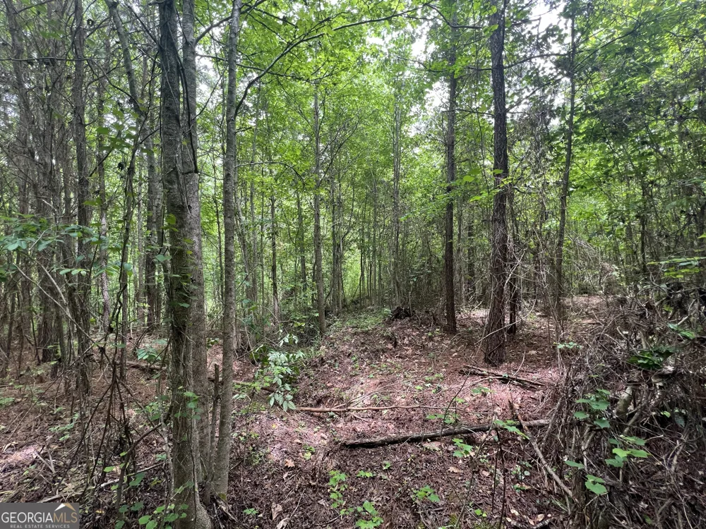 0 Bethlehem Church RD Grantville, GA 30220