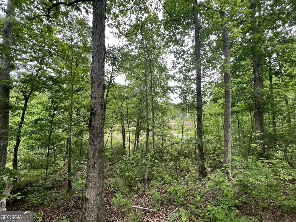 0 Bethlehem Church RD Grantville, GA 30220