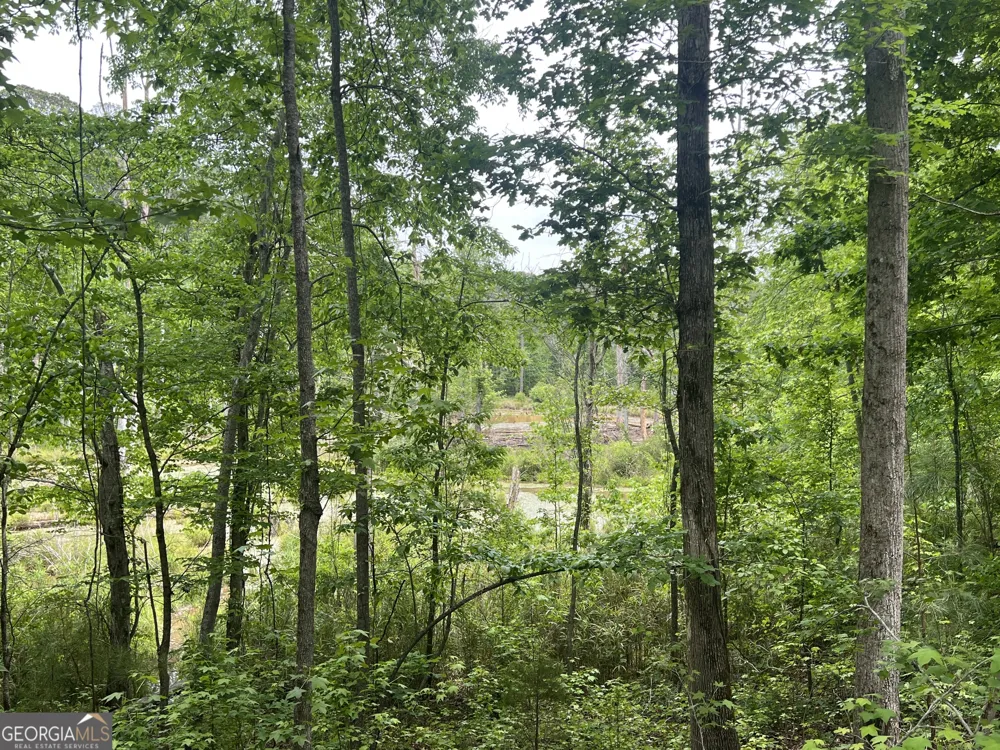0 Bethlehem Church RD Grantville, GA 30220