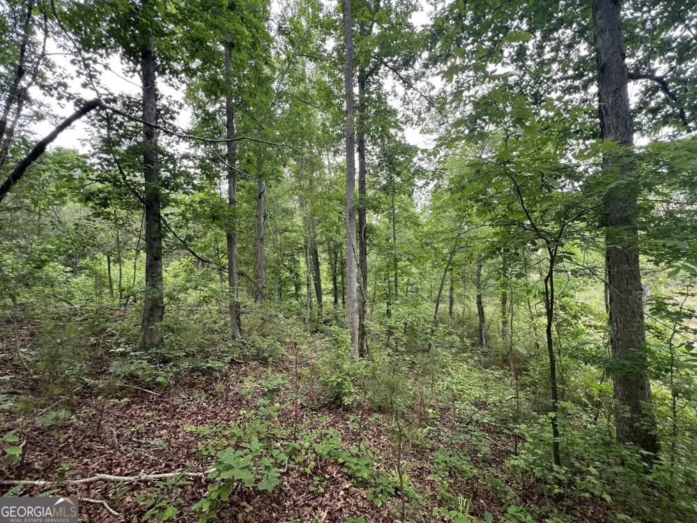 0 Bethlehem Church RD Grantville, GA 30220