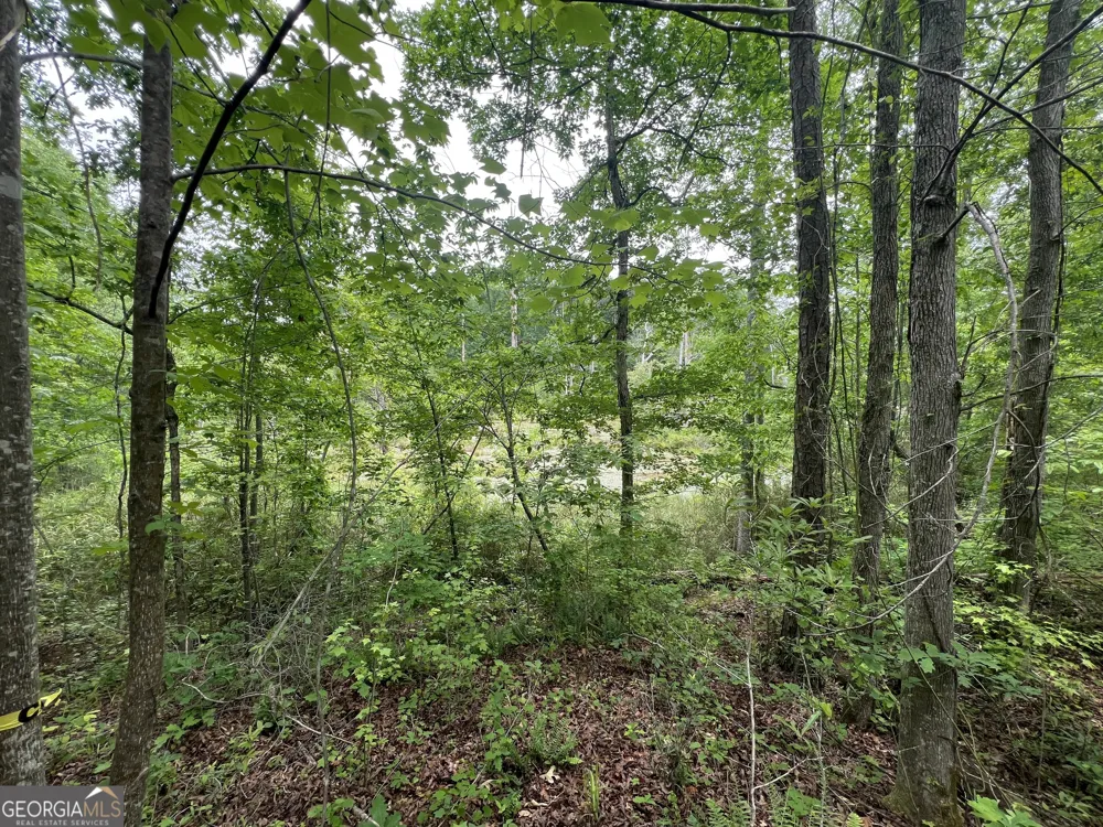 0 Bethlehem Church RD Grantville, GA 30220