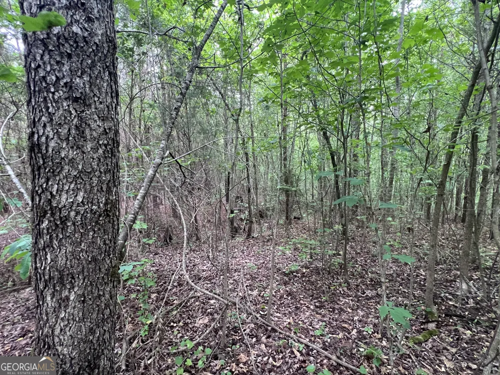 0 Bethlehem Church RD Grantville, GA 30220