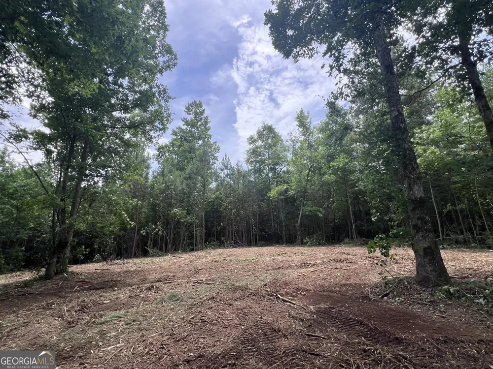 0 Bethlehem Church RD Grantville, GA 30220