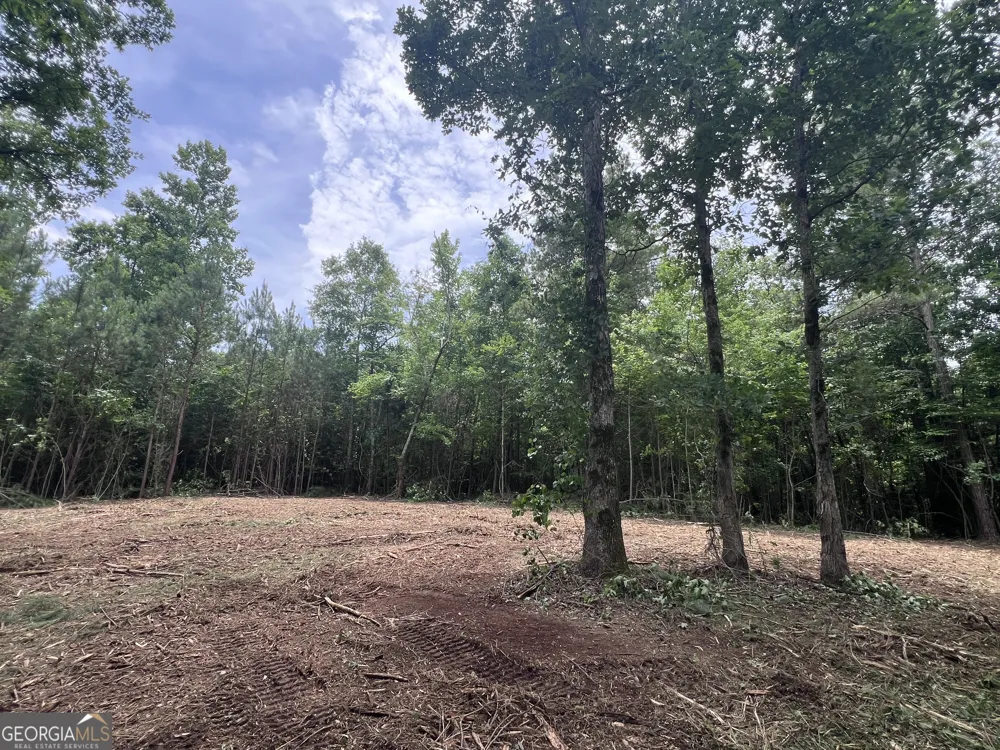 0 Bethlehem Church RD Grantville, GA 30220