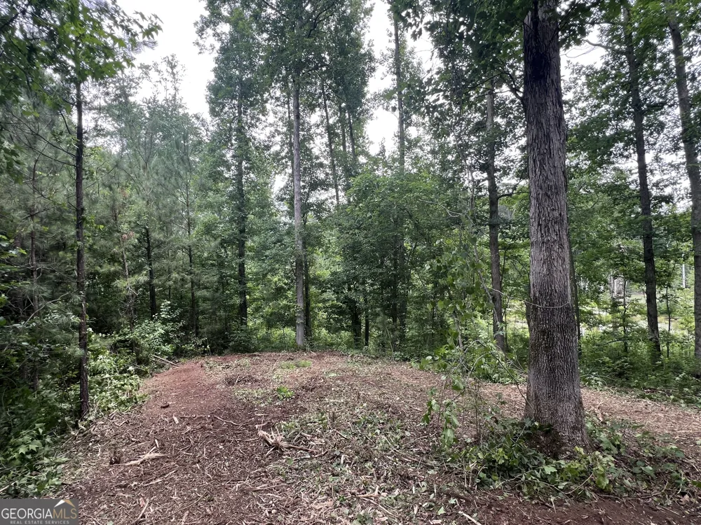 0 Bethlehem Church RD Grantville, GA 30220