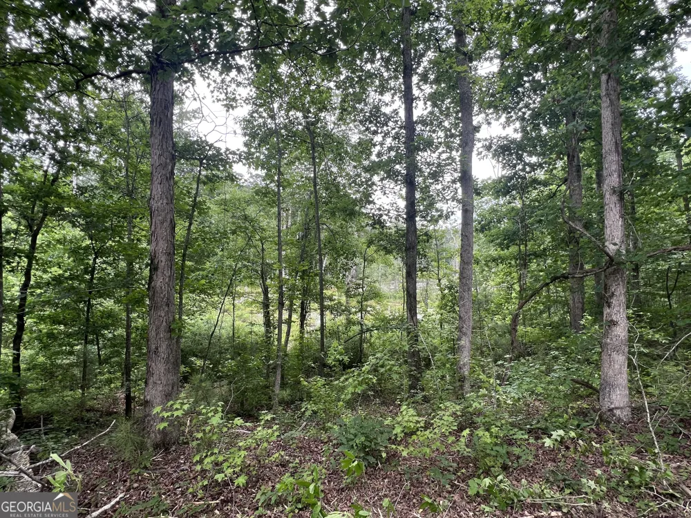 0 Bethlehem Church RD Grantville, GA 30220