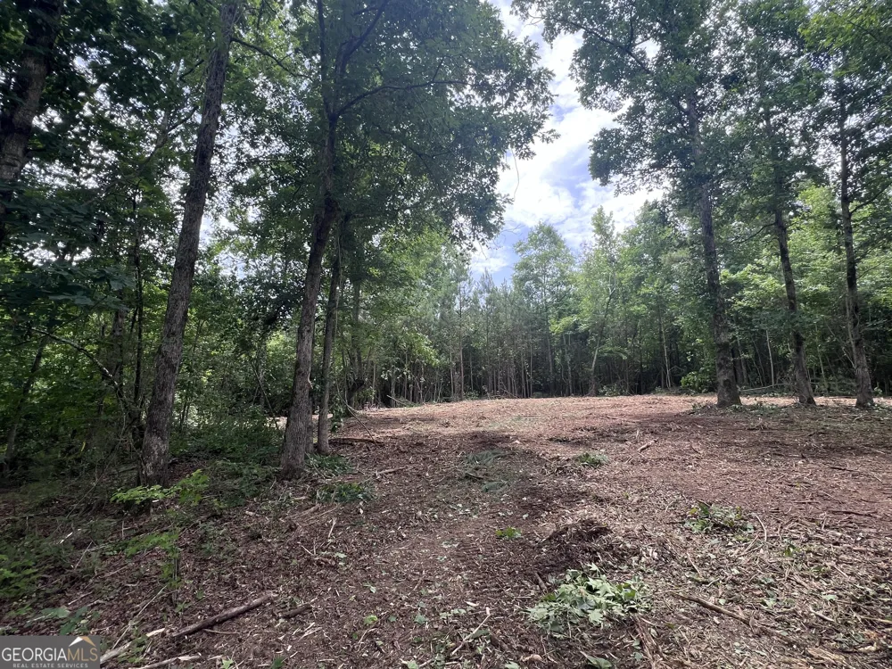 0 Bethlehem Church RD Grantville, GA 30220