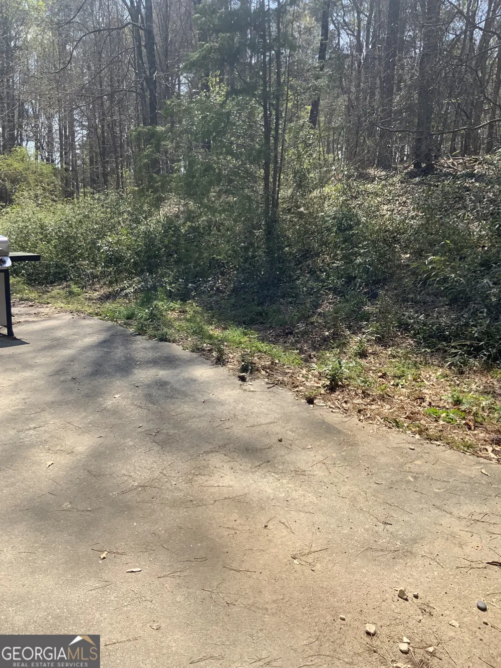 4370 Atha CIR Loganville, GA 30052