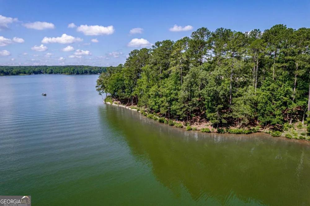 1103 Painted Bunting DR Greensboro, GA 30642