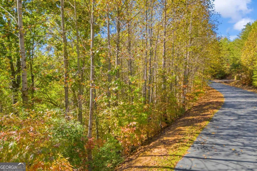 LOT 13 Crown Mountain WAY Dahlonega, GA 30533