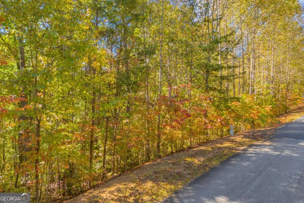 LOT 13 Crown Mountain WAY Dahlonega, GA 30533