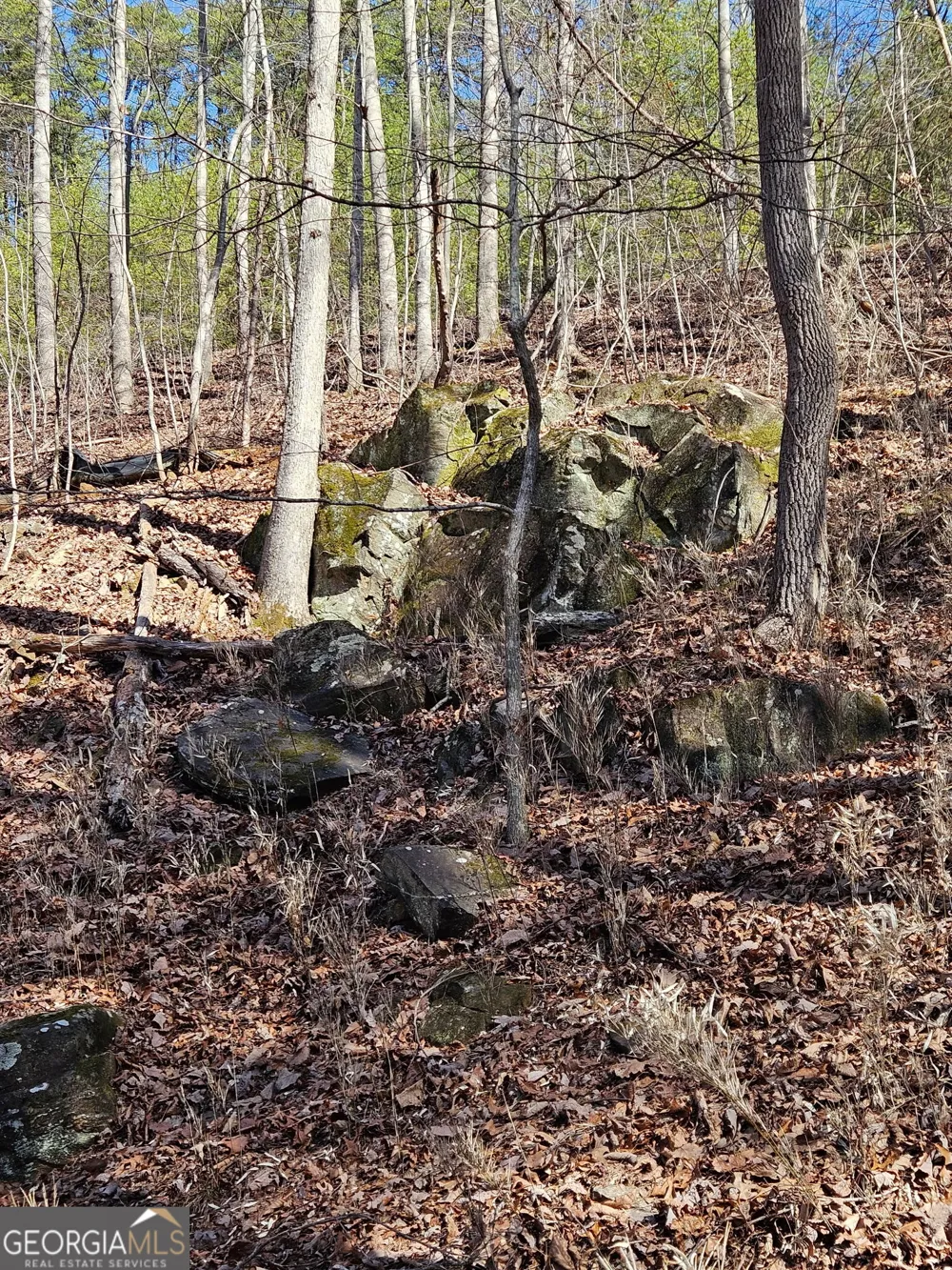 LOT 13 Crown Mountain WAY Dahlonega, GA 30533