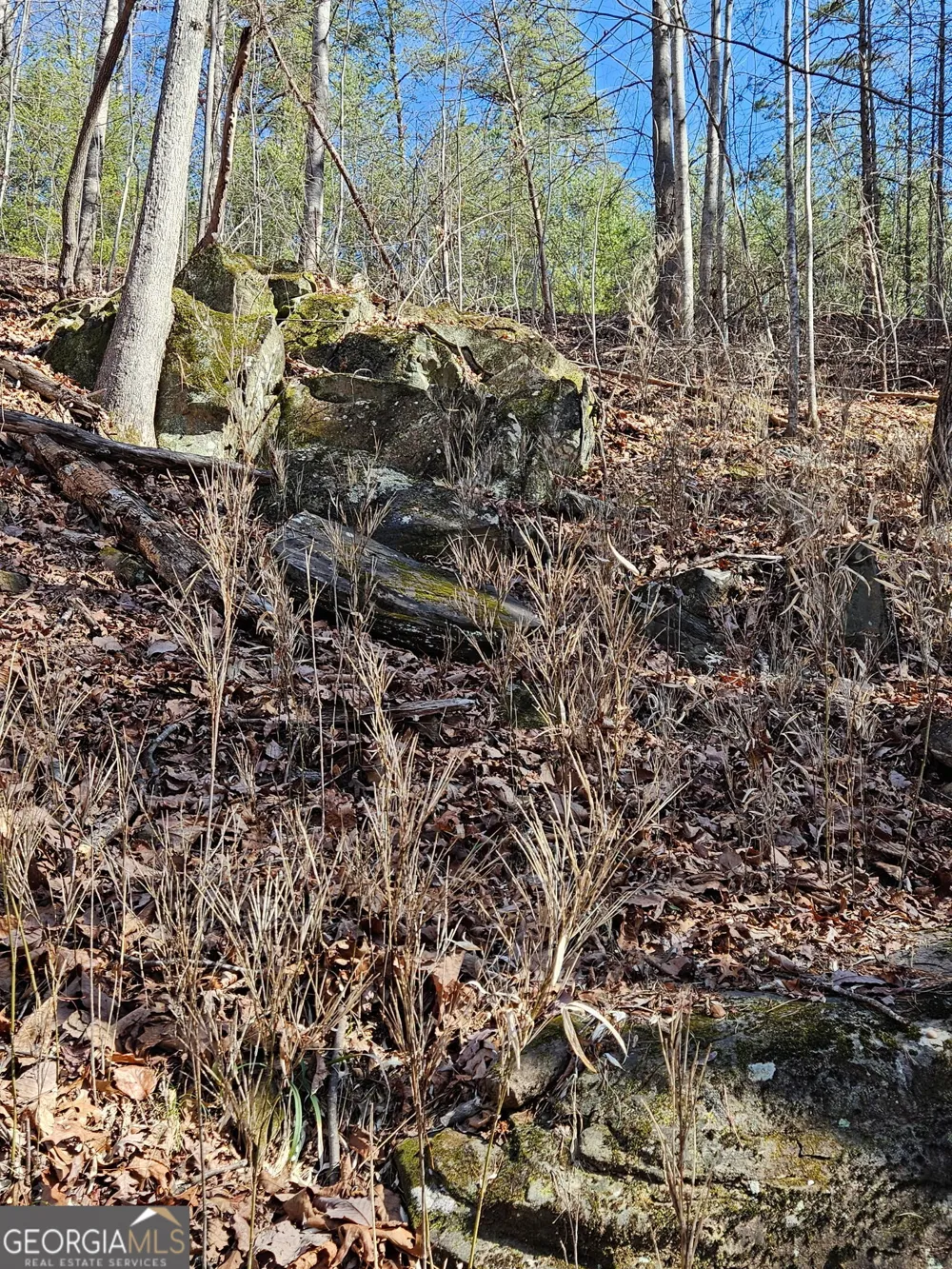 LOT 13 Crown Mountain WAY Dahlonega, GA 30533