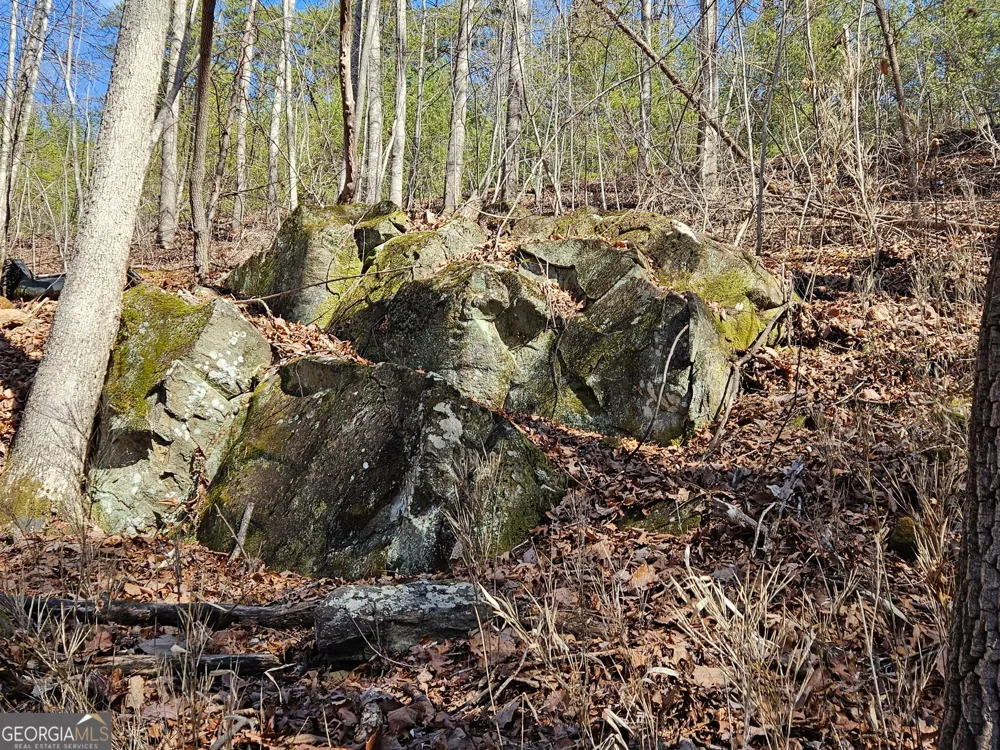 LOT 13 Crown Mountain WAY Dahlonega, GA 30533