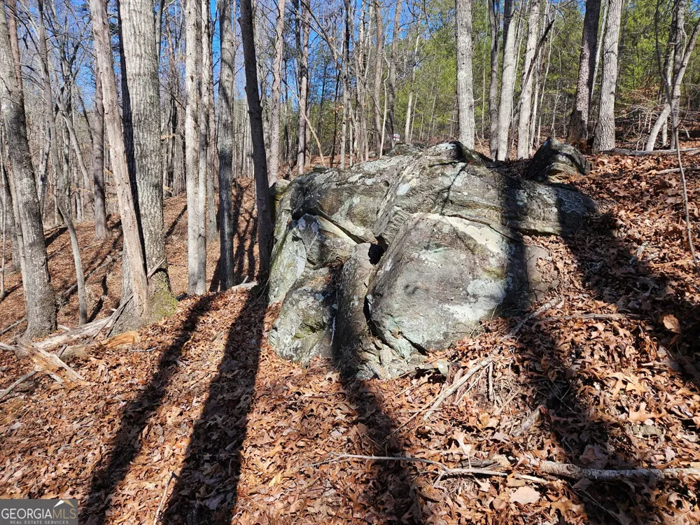LOT 13 Crown Mountain WAY Dahlonega, GA 30533