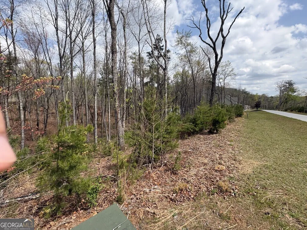 21 Yonah Lake DR Sautee Nacoochee, GA 30571