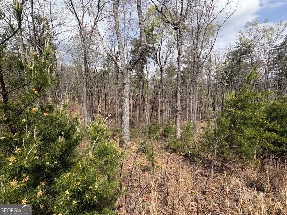 21 Yonah Lake DR Sautee Nacoochee, GA 30571