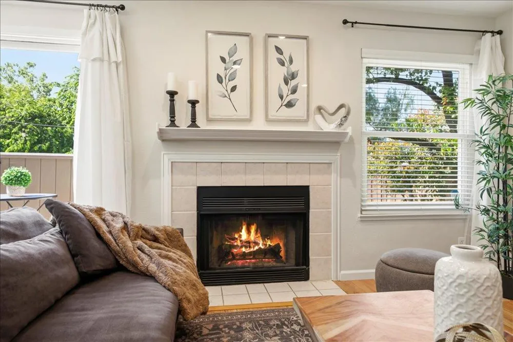 1176 Bird Avenue San Jose, CA 95125