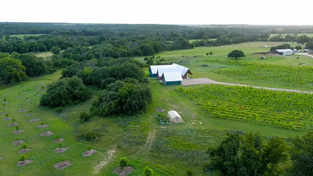 25270 State Highway 6 Hico, TX 76457