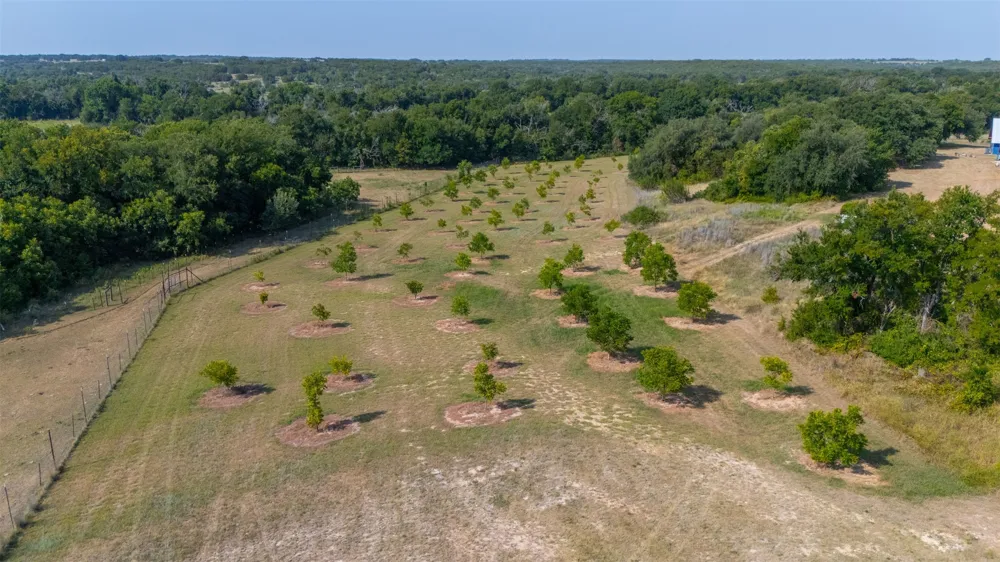 25270 State Highway 6 Hico, TX 76457