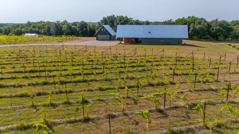 25270 State Highway 6 Hico, TX 76457