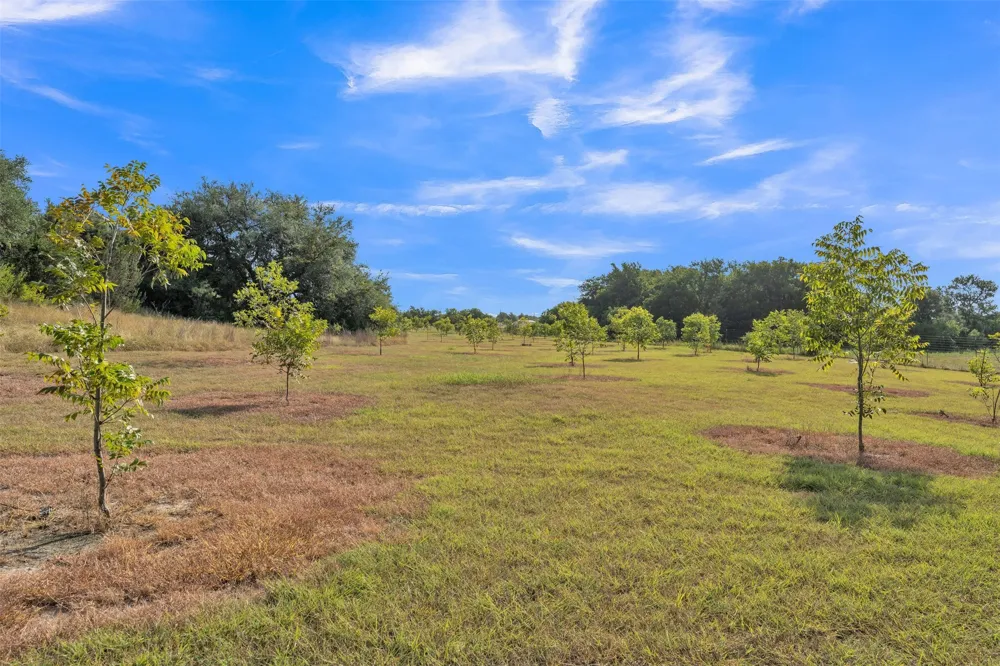 25270 State Highway 6 Hico, TX 76457