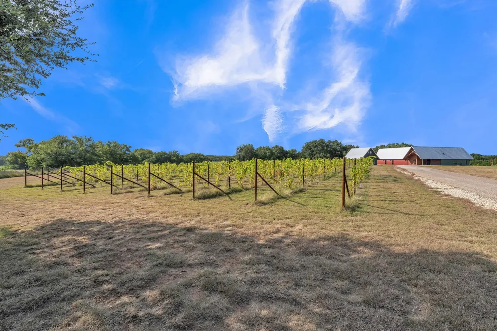 25270 State Highway 6 Hico, TX 76457