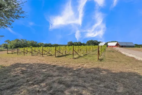 25270 State Highway 6