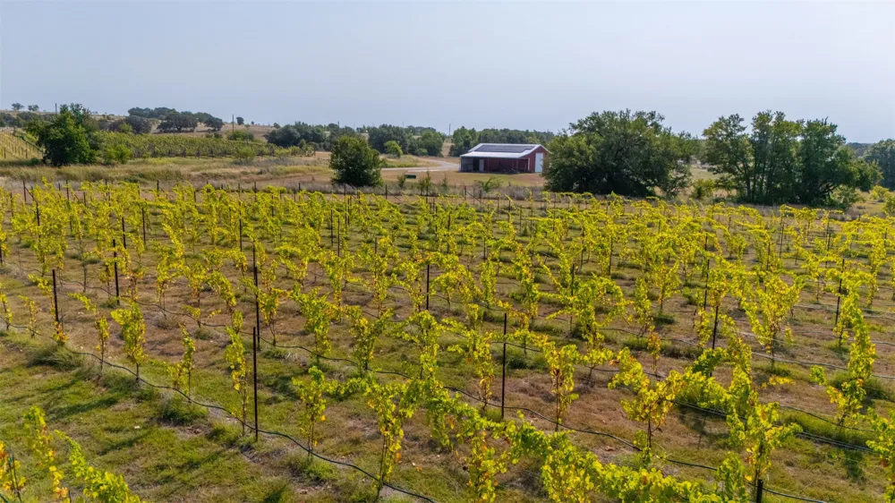 25270 State Highway 6 Hico, TX 76457