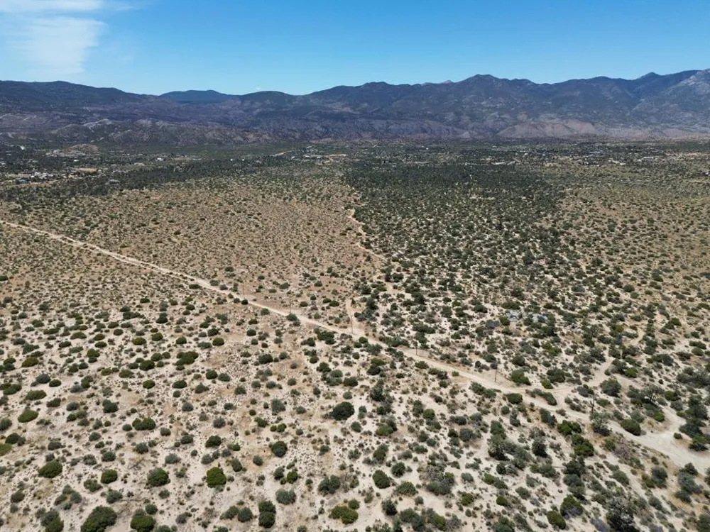 Scenic Drive Mountain Center, CA 92561